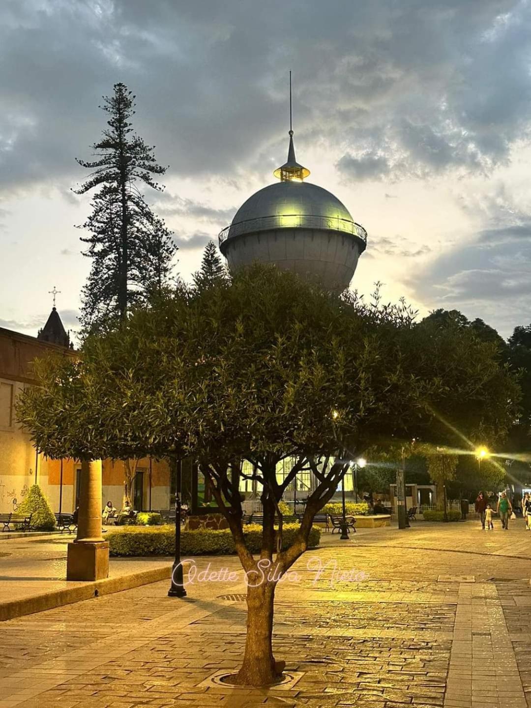 Hotel Gomez De Celaya Celaya  Kültér fotó